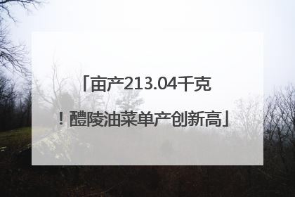 亩产213.04千克！醴陵油菜单产创新高