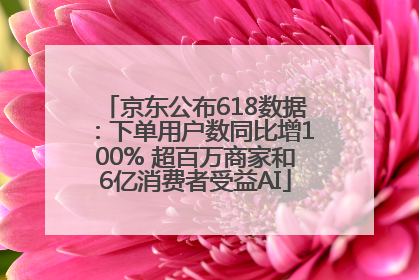 京东公布618数据：下单用户数同比增100% 超百万商家和6亿消费者受益AI