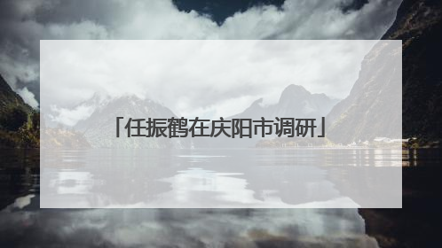任振鹤在庆阳市调研
