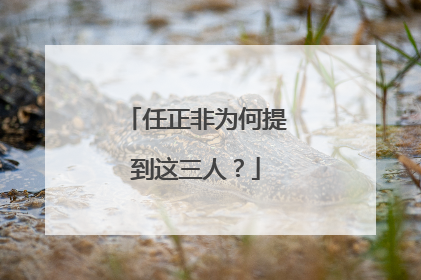 任正非为何提到这三人？