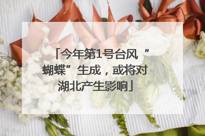 今年第1号台风“蝴蝶”生成，或将对湖北产生影响