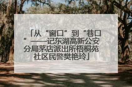 从“窗口”到“巷口”——记东湖高新公安分局茅店派出所梧桐苑社区民警樊艳玲