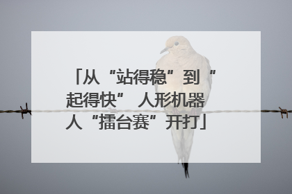 从“站得稳”到“起得快” 人形机器人“擂台赛”开打