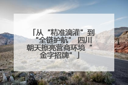 从“精准滴灌”到“全链护航” 四川朝天擦亮营商环境“金字招牌”