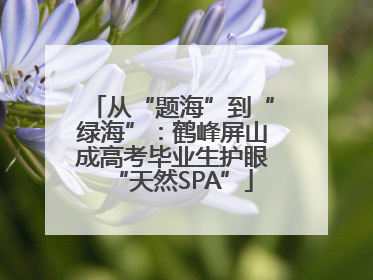 从“题海”到“绿海”：鹤峰屏山成高考毕业生护眼“天然SPA”