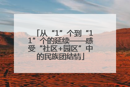 从“1”个到“11”个的延续——感受“社区+园区”中的民族团结情