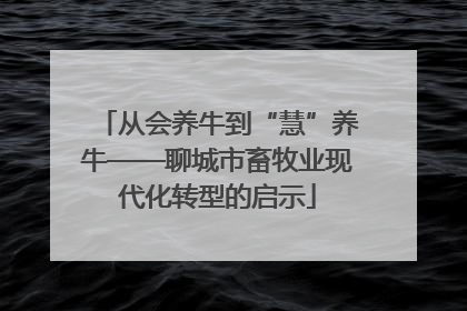 从会养牛到“慧”养牛——聊城市畜牧业现代化转型的启示