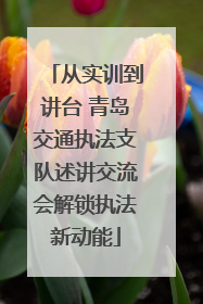 从实训到讲台 青岛交通执法支队述讲交流会解锁执法新动能