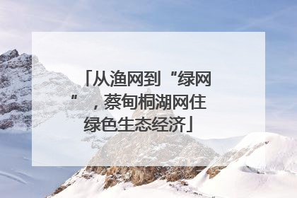 从渔网到“绿网”，蔡甸桐湖网住绿色生态经济