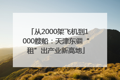 从2000架飞机到1000艘船：天津东疆“租”出产业新高地