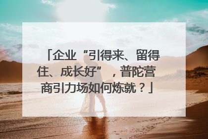 企业“引得来、留得住、成长好”，普陀营商引力场如何炼就？