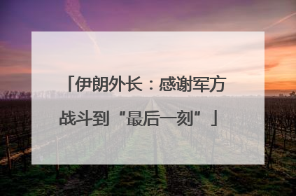 伊朗外长：感谢军方战斗到“最后一刻”
