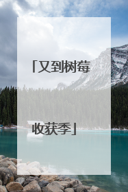又到树莓收获季