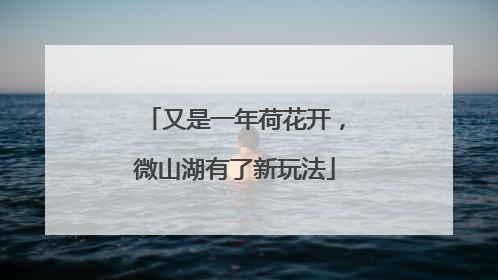 又是一年荷花开，微山湖有了新玩法
