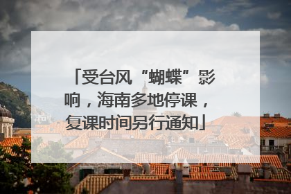 受台风“蝴蝶”影响，海南多地停课，复课时间另行通知