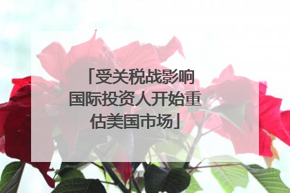 受关税战影响 国际投资人开始重估美国市场