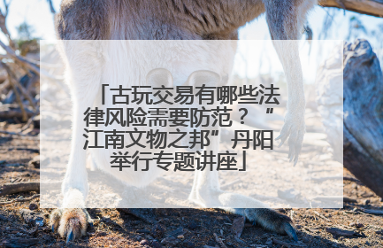 古玩交易有哪些法律风险需要防范？“江南文物之邦”丹阳举行专题讲座