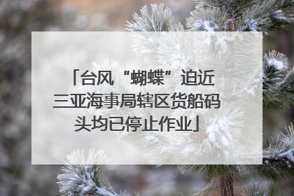 台风“蝴蝶”迫近 三亚海事局辖区货船码头均已停止作业