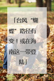 台风“蝴蝶”路径有变！或在海南这一带登陆