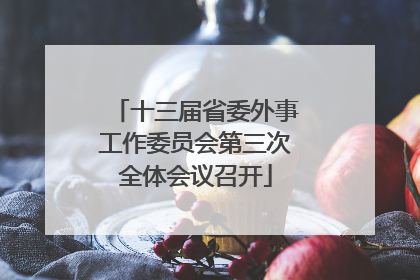 十三届省委外事工作委员会第三次全体会议召开