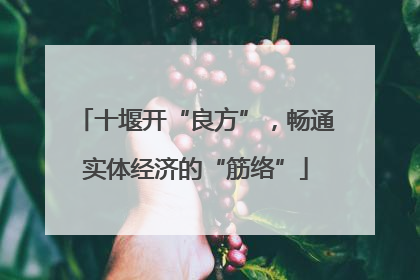 十堰开“良方”，畅通实体经济的“筋络”
