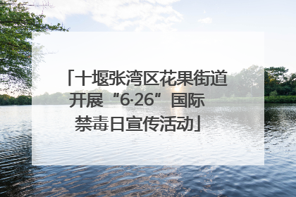 十堰张湾区花果街道开展“6·26”国际禁毒日宣传活动