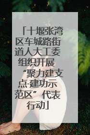 十堰张湾区车城路街道人大工委组织开展 “聚力建支点·建功示范区”代表行动