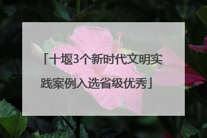 十堰3个新时代文明实践案例入选省级优秀