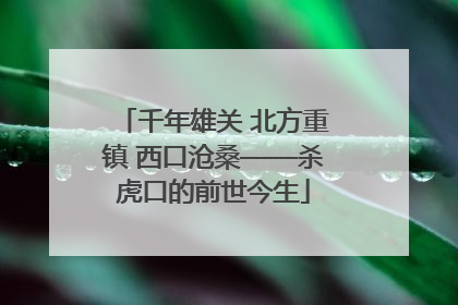千年雄关 北方重镇 西口沧桑——杀虎口的前世今生