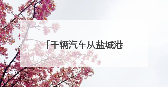 千辆汽车从盐城港滨海港区“出海”