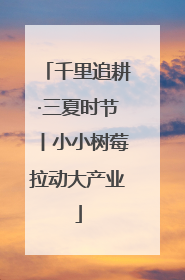 千里追耕·三夏时节丨小小树莓拉动大产业