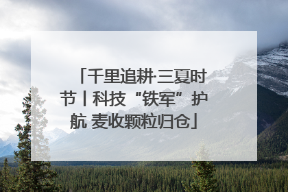 千里追耕·三夏时节丨科技“铁军”护航 麦收颗粒归仓