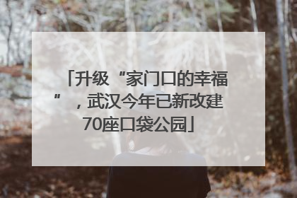 升级“家门口的幸福”，武汉今年已新改建70座口袋公园