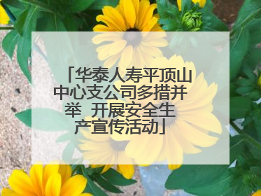 华泰人寿平顶山中心支公司多措并举  开展安全生产宣传活动