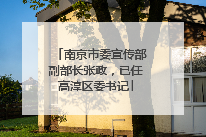 南京市委宣传部副部长张政，已任高淳区委书记