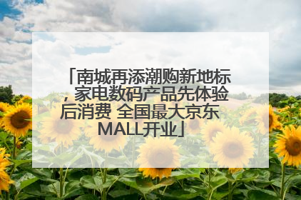南城再添潮购新地标，家电数码产品先体验后消费 全国最大京东MALL开业