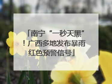 南宁“一秒天黑”！广西多地发布暴雨红色预警信号