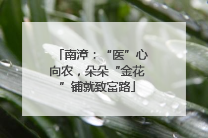 南漳：“医”心向农，朵朵“金花”铺就致富路