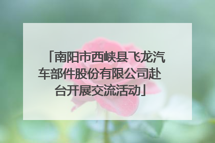 南阳市西峡县飞龙汽车部件股份有限公司赴台开展交流活动
