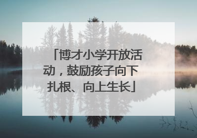 博才小学开放活动，鼓励孩子向下扎根、向上生长
