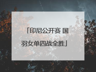 印尼公开赛 国羽女单四战全胜