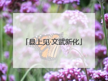 县上见·文武新化