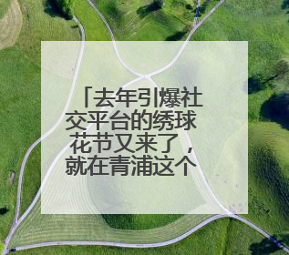 去年引爆社交平台的绣球花节又来了，就在青浦这个村