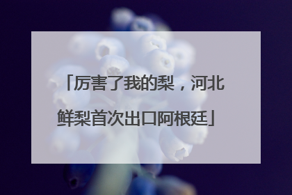 厉害了我的梨，河北鲜梨首次出口阿根廷