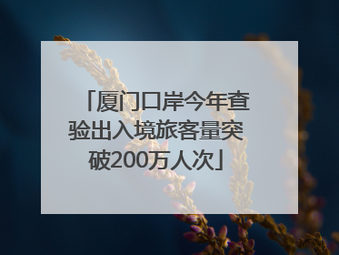 厦门口岸今年查验出入境旅客量突破200万人次