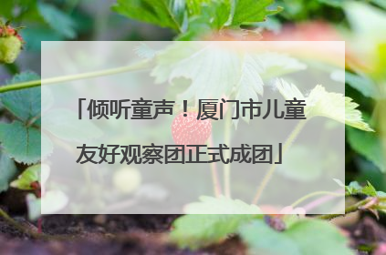 倾听童声！厦门市儿童友好观察团正式成团