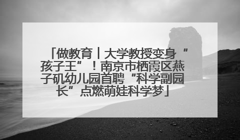 做教育︱大学教授变身“孩子王”！南京市栖霞区燕子矶幼儿园首聘“科学副园长”点燃萌娃科学梦