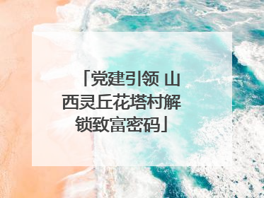 党建引领 山西灵丘花塔村解锁致富密码