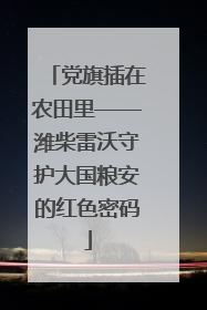 党旗插在农田里——潍柴雷沃守护大国粮安的红色密码