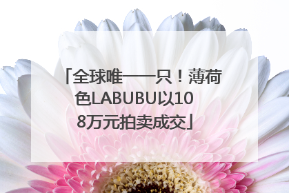 全球唯一一只！薄荷色LABUBU以108万元拍卖成交